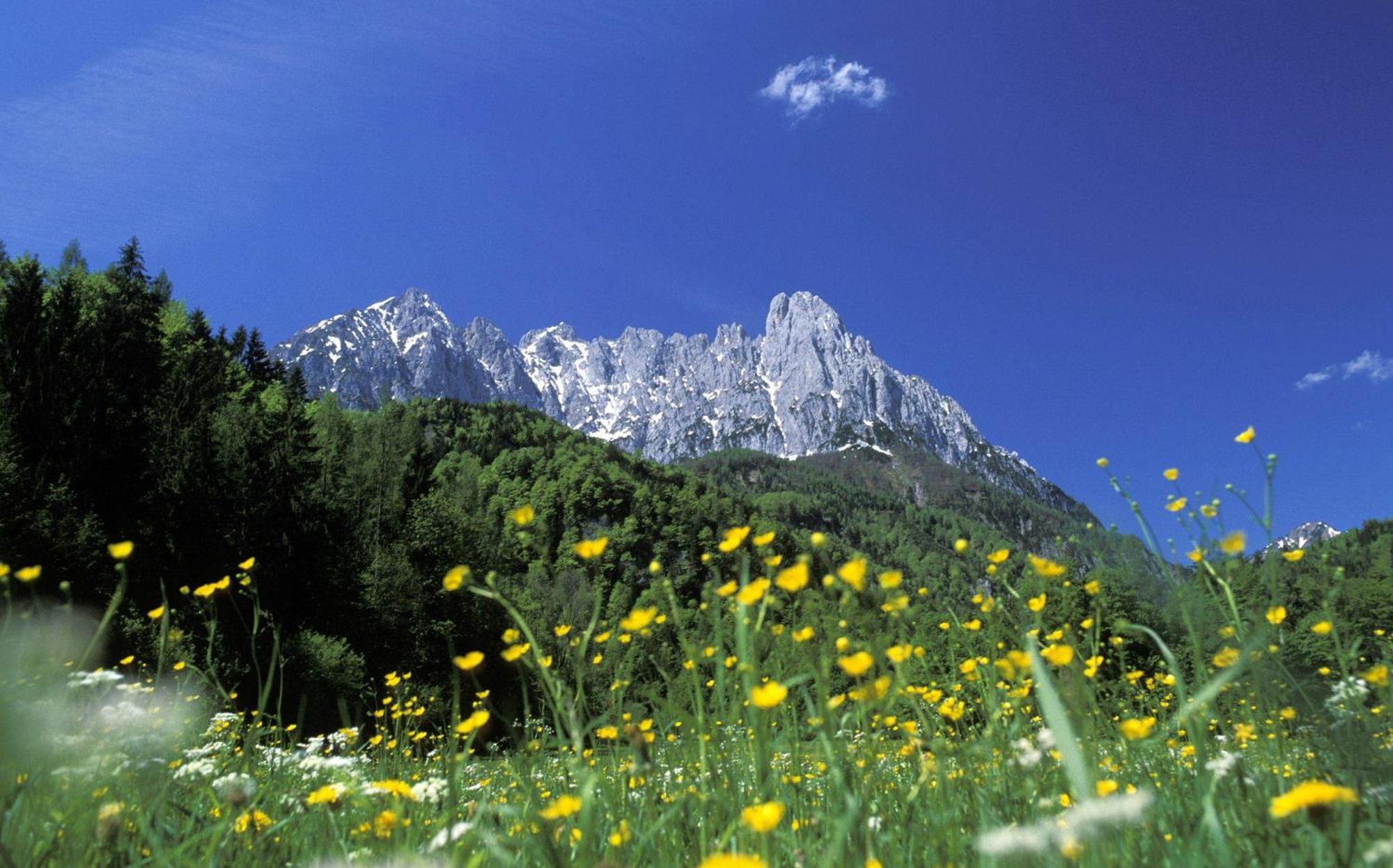 Landhaus Foidl ซางค์ท โยฮันน์ อิน ทิโรล ภายนอก รูปภาพ